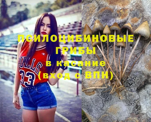 твердый Покровск