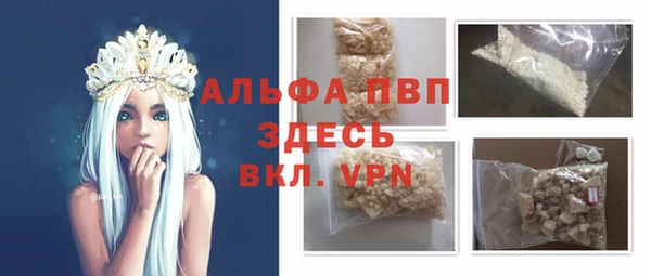 молекула духа Переславль-Залесский