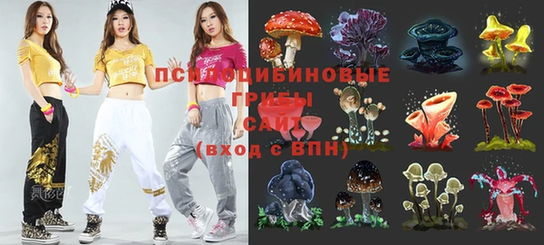 СК Покачи