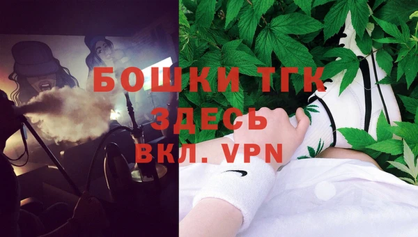 ECSTASY Пестово