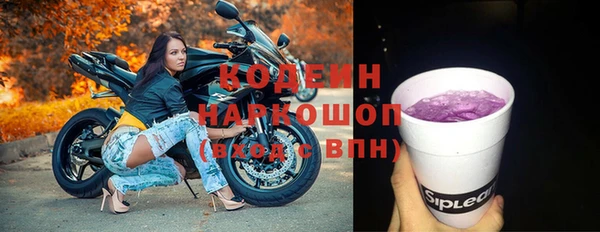 молекула духа Переславль-Залесский