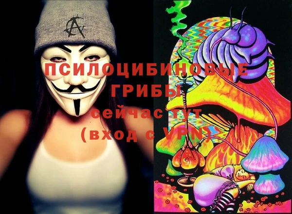 твердый Покровск