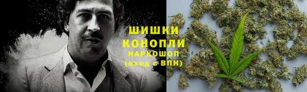 СК Покачи