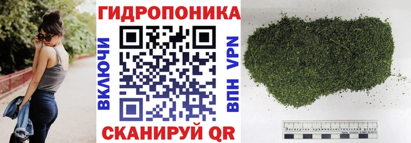 Бошки марихуана гибрид  купить  сайты  Хвалынск 